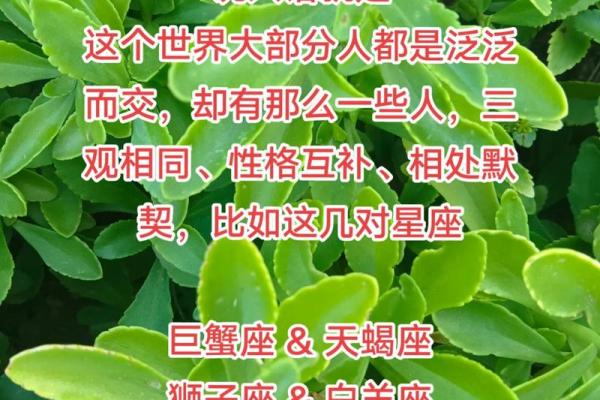 巨蟹座女跟处女座男(巨蟹座女跟处女座男性格) 巨蟹座女跟处女座男(巨蟹座女跟处女座男性格)