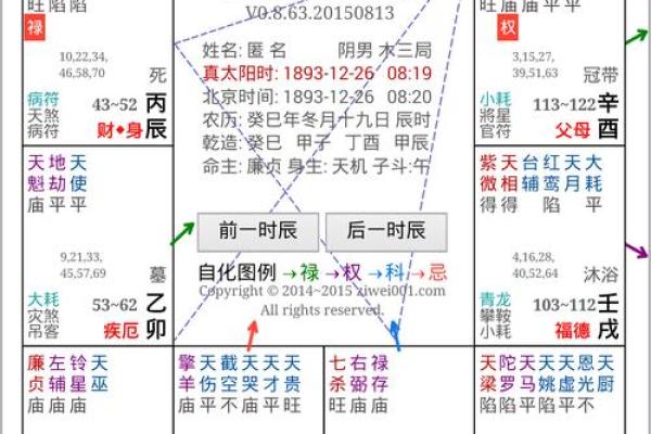 2025年4月21日子时男命紫微斗数全解盘 2025年4月21日子时男命紫微斗数全解盘