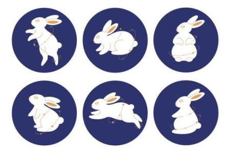 2005属鸡和2006属狗的适合做夫妻吗_男鸡女狗能过一辈子吗