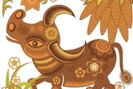 绵绵流长是什么生肖