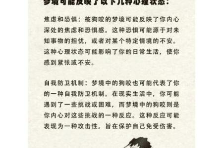 梦见狗缠着我但不咬我