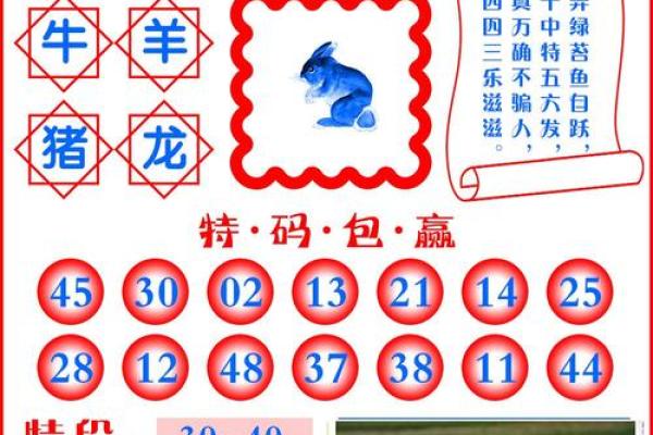 三二合八特马出解一生肖