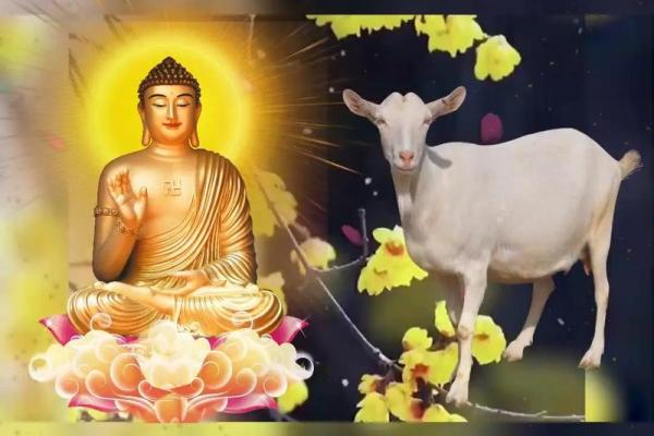 91年属羊人2025年婚姻运势解析爱情与幸福的关键年