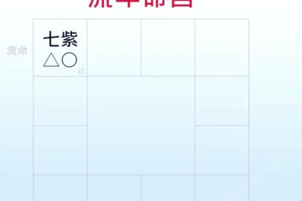 2025年4月27日辰时男命紫微斗数全解盘