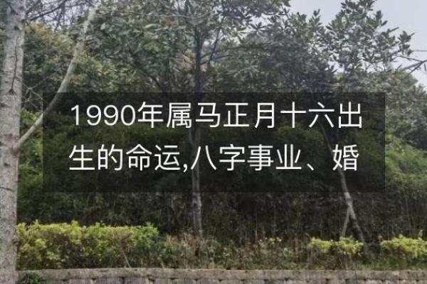 1990年属马人运势 1990年属马今天的运势 1990年属马人运势 1990年属马今天的运势