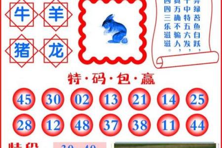 三二合八特马出解一生肖