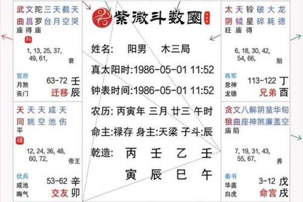 2025年4月30日午时男命紫微斗数全解盘