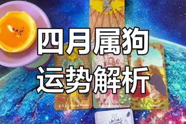 属狗的2024年运势和财运怎么样_属狗的明年运势和财运怎么样 属狗的2024年运势和财运怎么样_属狗的明年运势和财运怎么样
