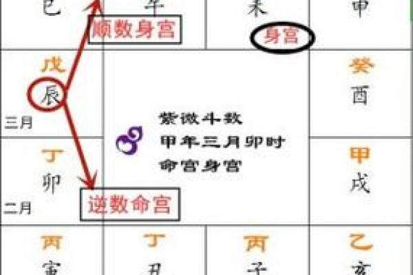 2025年4月17日辰时女命紫微斗数全解盘