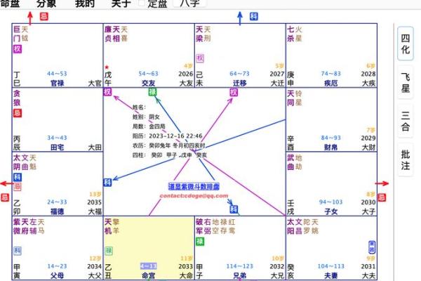2025年4月17日辰时女命紫微斗数全解盘