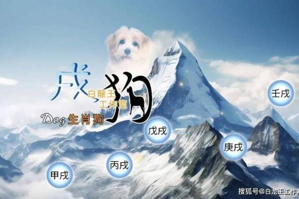 属狗的2025年多大了虚岁呢_2025年属狗人虚岁年龄计算及运势解析 属狗的2025年多大了虚岁呢_2025年属狗人虚岁年龄计算及运势解析