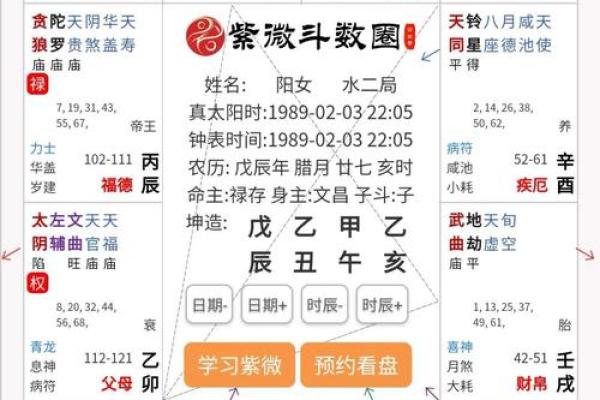 2025年4月3日亥时男命紫微斗数全解盘 2025年4月3日亥时男命紫微斗数全解盘