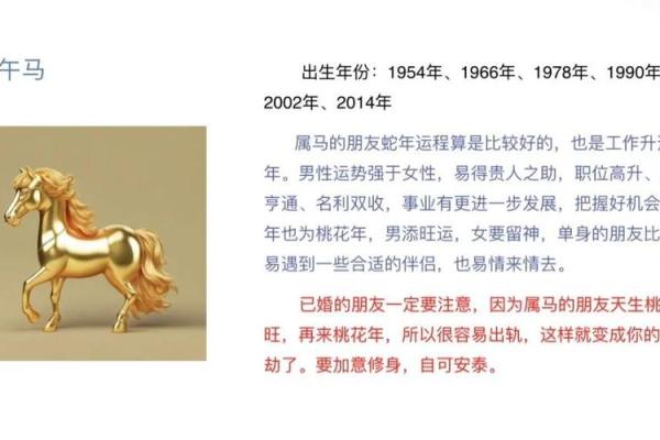 2025马年运势及运程_属马2025年运势完整版 2025马年运势及运程_属马2025年运势完整版