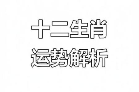 2019年是什么生肖