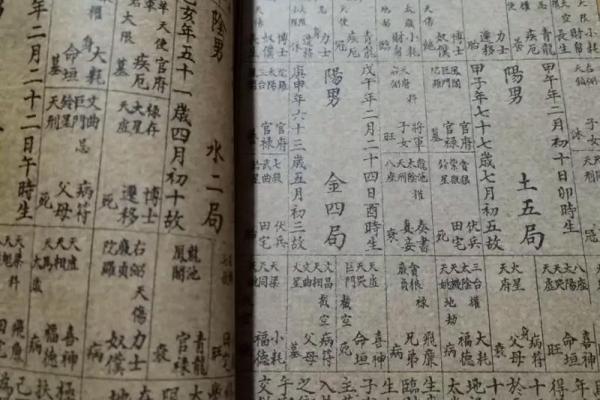 2025年4月19日子时女命紫微斗数全解盘 2025年4月19日子时女命紫微斗数全解盘