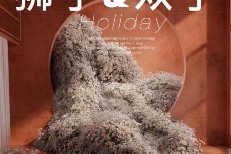 双子座和狮子座哪个更厉害(双子座和狮子座谁更厉害)