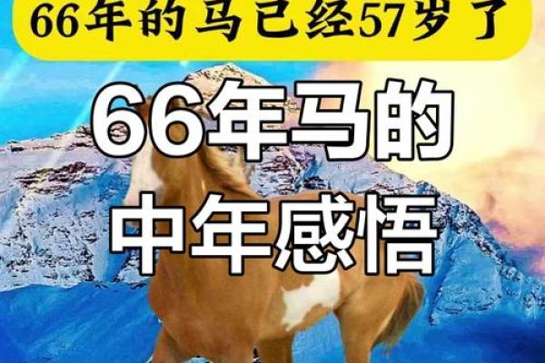属马人1966年出生命运 66年属马59岁有一灾 属马人1966年出生命运 66年属马59岁有一灾