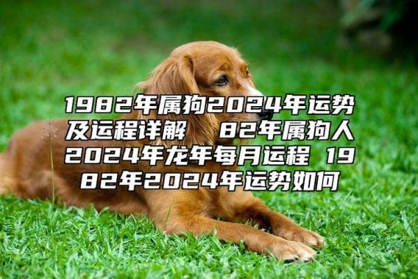 1982属狗2025年运势完整版 1982属狗2025年运势详解事业财运健康全解析