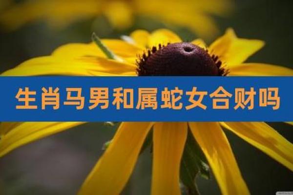 2002年属马的女最佳婚配_2002属马最佳配偶 2002年属马的女最佳婚配_2002属马最佳配偶