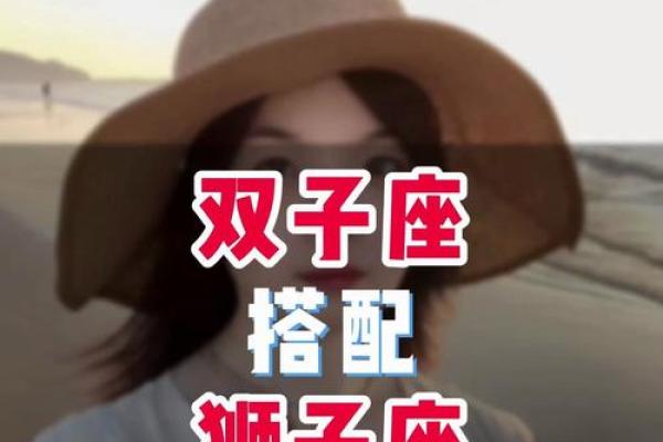 双子座和狮子座的配对指数是多少(双子座和狮子座相配是多少指数) 双子座和狮子座的配对指数是多少(双子座和狮子座相配是多少指数)