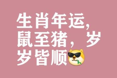 见贤思齐代表什么生肖(见贤思齐代表什么生肖动物)