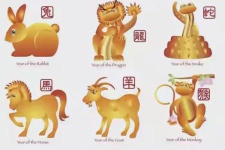 五花八门是什么生肖