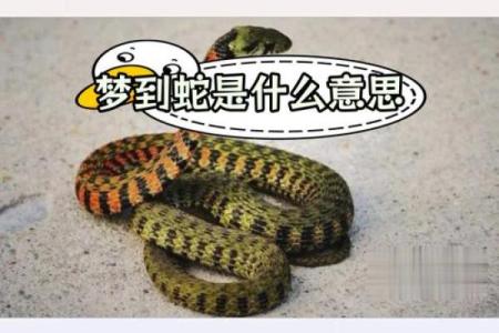 梦见孩子被蛇咬是什么意思