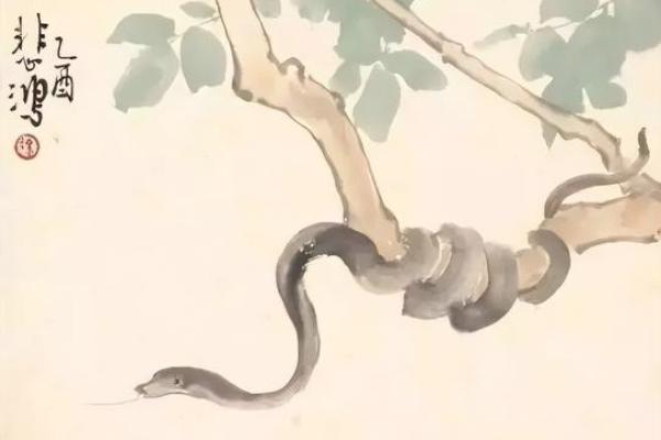 名列前茅打一最佳生肖(名列前茅打一最佳生肖)