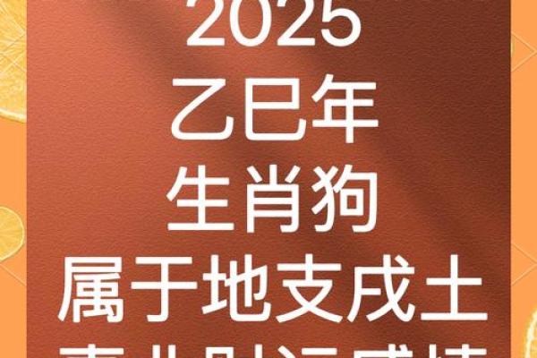 2025年狗生肖运势详解财运事业爱情全解析