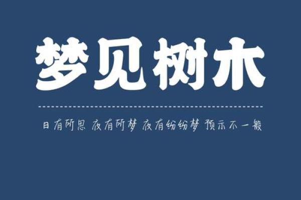 梦见很久没见的人是什么意思 梦见很久没见的人是什么意思