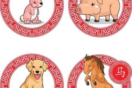 嘴多舌长是什么生肖