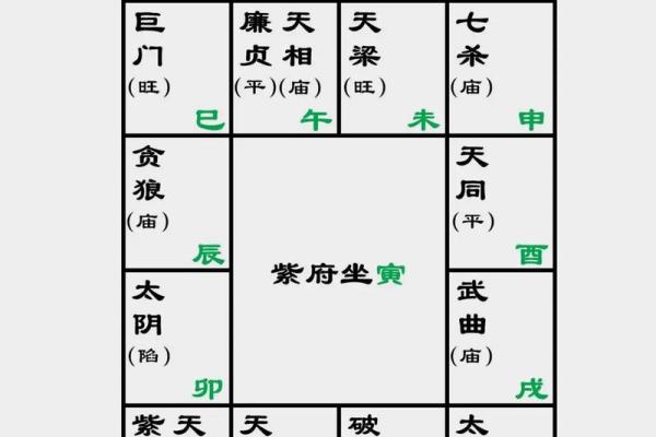 2025年4月5日酉时女命紫微斗数全解盘