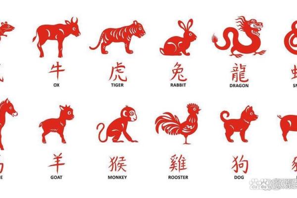 2019年属什么生肖 2019年属什么生肖