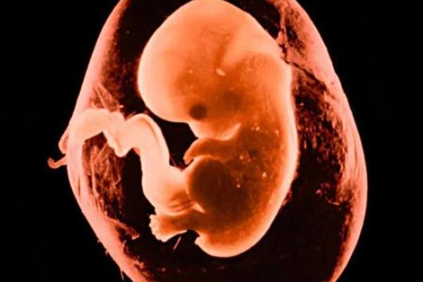 梦到生了个儿子 梦到生了个儿子