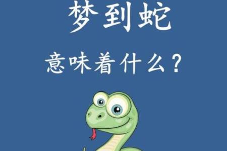 梦到两条蛇是什么征兆 女性