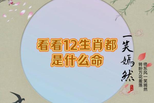 明察秋毫是什么生肖