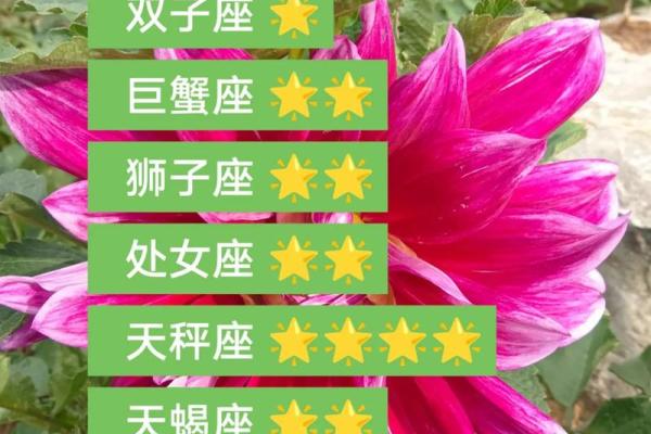 金牛女今天运势最准