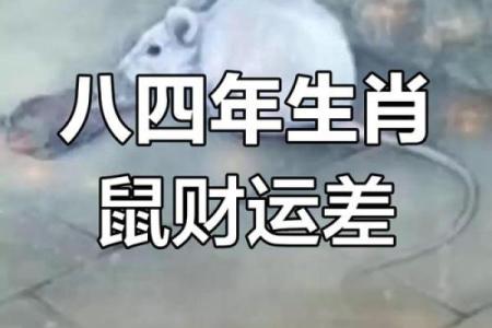 1984年鼠男2025年运势