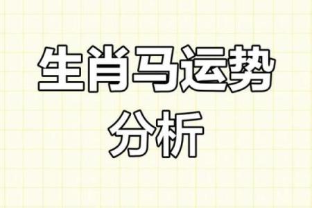 属马的2024年运势和财运怎么样_2024年属马运势全解析财运事业运双线预测