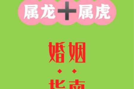 属龙的明年虎年可以结婚吗