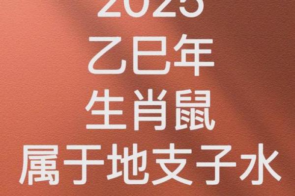 72年男鼠在2025年的全年运势 72年男鼠在2025年的全年运势