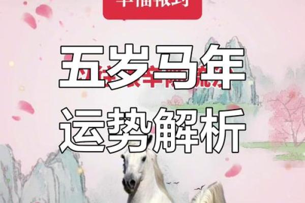 属马的一生运气和命运_属马的一生运程 属马的一生运气和命运_属马的一生运程