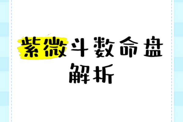 2025年4月3日酉时男命紫微斗数全解盘 2025年4月3日酉时男命紫微斗数全解盘