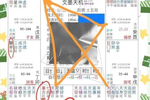 2025年4月3日酉时男命紫微斗数全解盘 2025年4月3日酉时男命紫微斗数全解盘