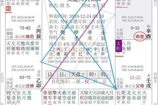 2025年4月9日子时女命紫微斗数全解盘 2025年4月9日子时女命紫微斗数全解盘