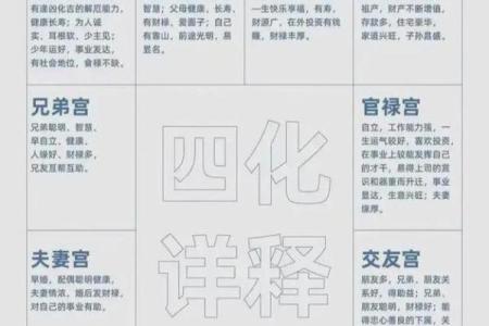 2025年4月2日酉时女命紫微斗数全解盘