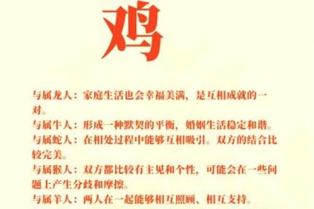 2025年1981年属鸡人运势详解财运事业感情全解析