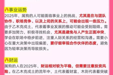 属狗2025年_属狗2025年运势及运程每月运程