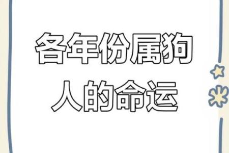 1994年属狗今年运势_1994年属狗2023年运势解析事业财运爱情全攻略