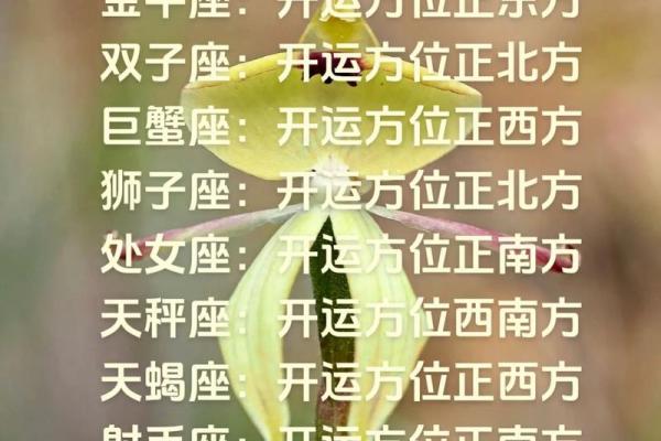 星座运势准确吗 星座运势真的准确吗揭秘星座预测的科学依据 星座运势准确吗 星座运势真的准确吗揭秘星座预测的科学依据